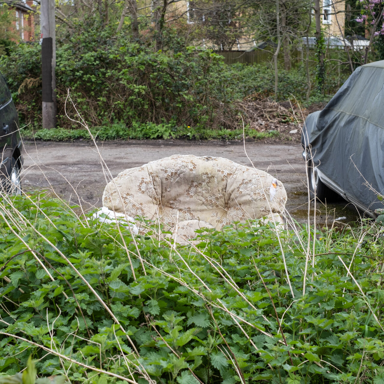 Photograph of the top of an old-fashioned upholstered armchair visible behind a hedge of nettles and long dried branches, between two parked cars (the one to the right covered), with more greenery and a wooden post visible in the background.