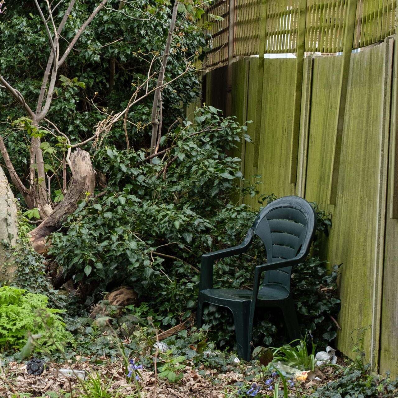 Photograph of an area of wild plants and trees, with green-tinged wooden fencing to the right and a dark green plastic garden chair.