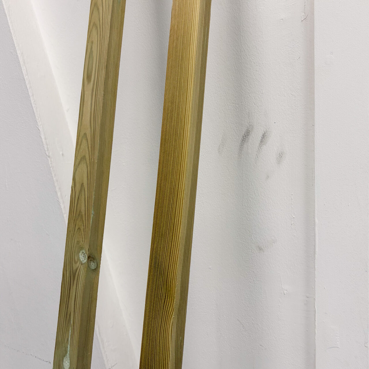 Colchester, Essex, UK, January 2025.