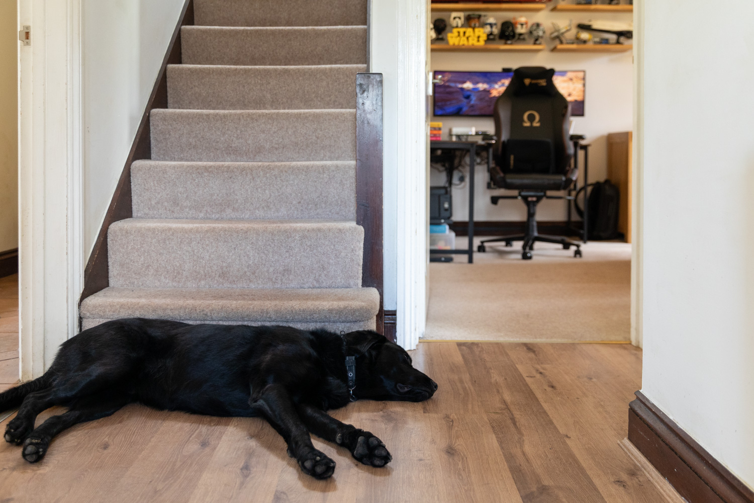 HOME / WORK Project: GARY RIST